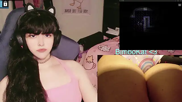 BimboCat: вебкам-шоу