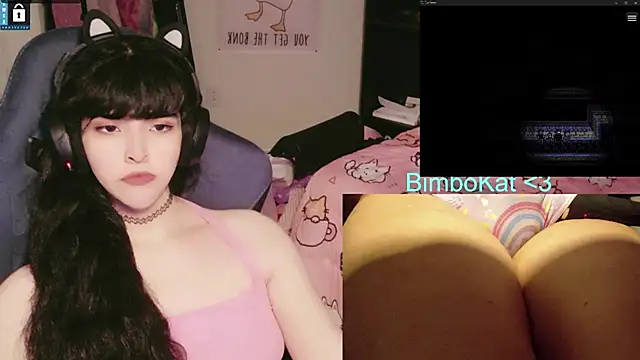 BimboCat 웹캠 쇼