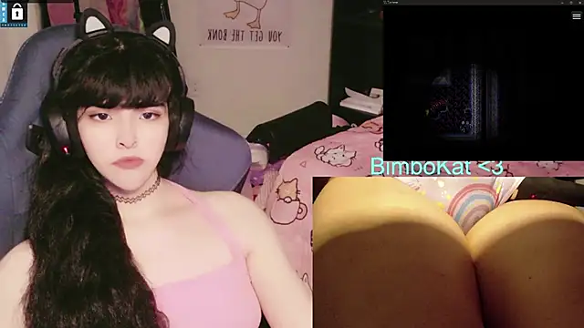 BimboCat Pertunjukan Webcam