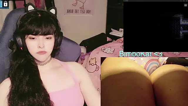 Pertunjukan Kamera Web BimboCat
