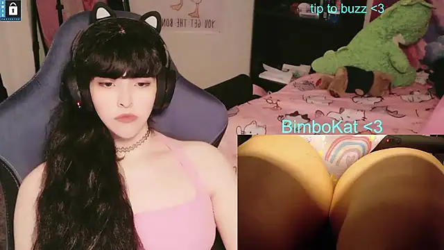 Show webcam de BimboCat