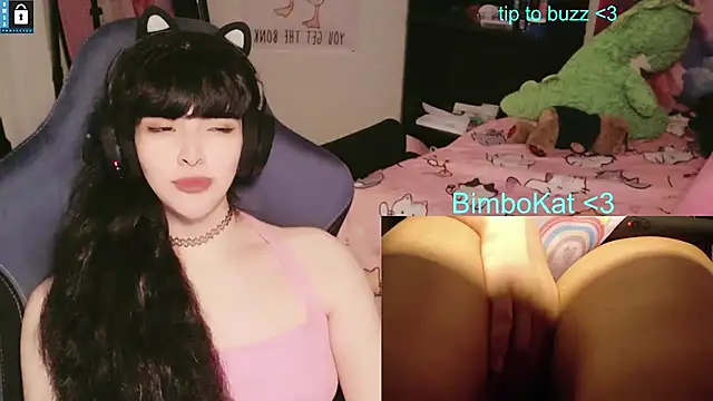 BimboCat webkamerás műsora