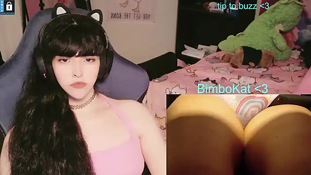 הופעת וובקאם של BimboCat