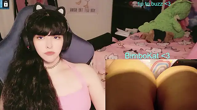 BimboCat Show in webcam