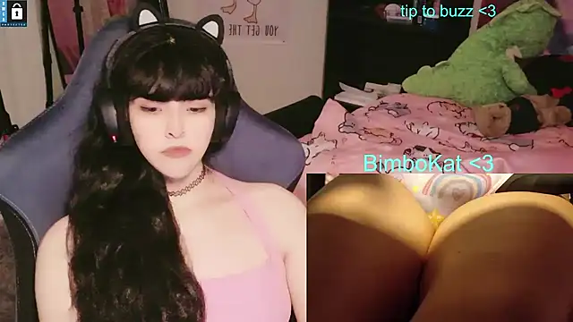 BimboCat webkamerás műsora