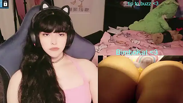 BimboCat Pertunjukan Webcam