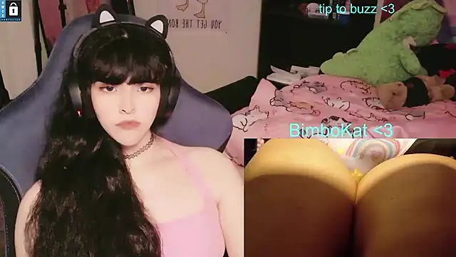 BimboCat: διαδικτυακό σόου στην κάμερα