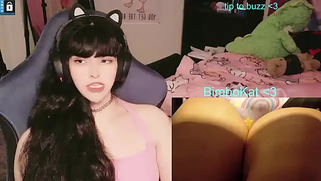 BimboCat: διαδικτυακό σόου στην κάμερα