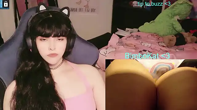 โชว์เว็บแคมของ BimboCat