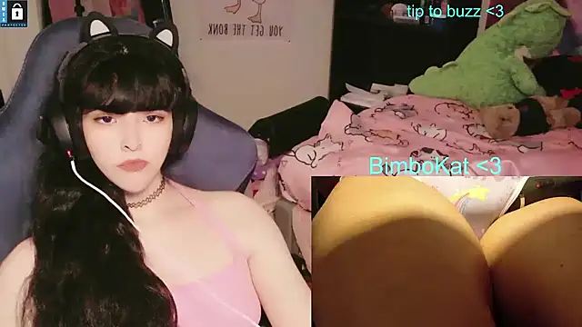 Вебкам-шоу BimboCat