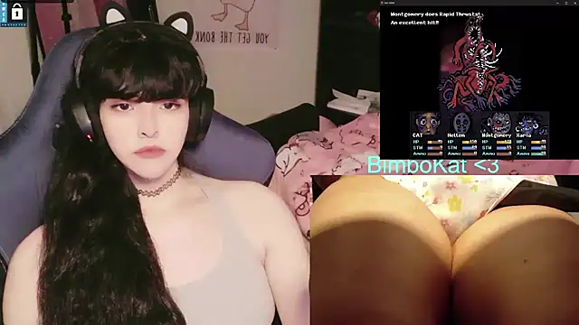 BimboCat Show in webcam