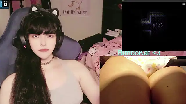 BimboCat's Webcam Show