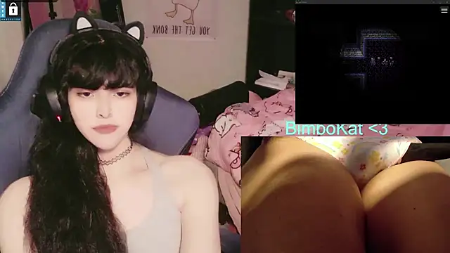 BimboCat Webcam Show