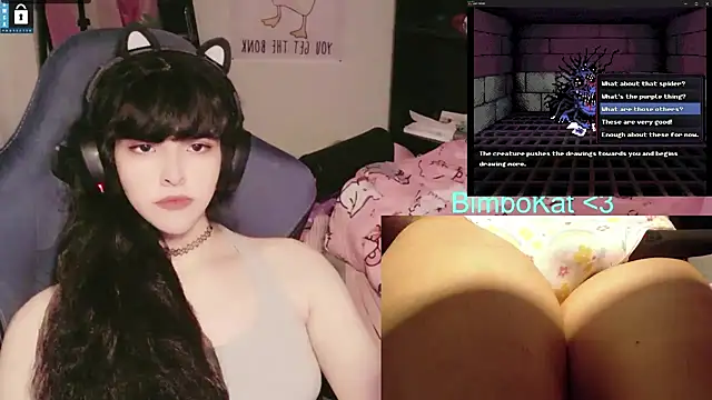 BimboCat Show in webcam