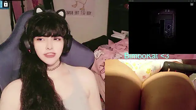 BimboCat Webcam Show
