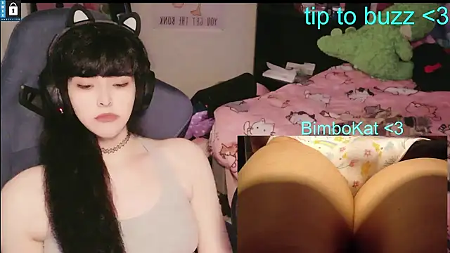 BimboCat 웹캠 쇼