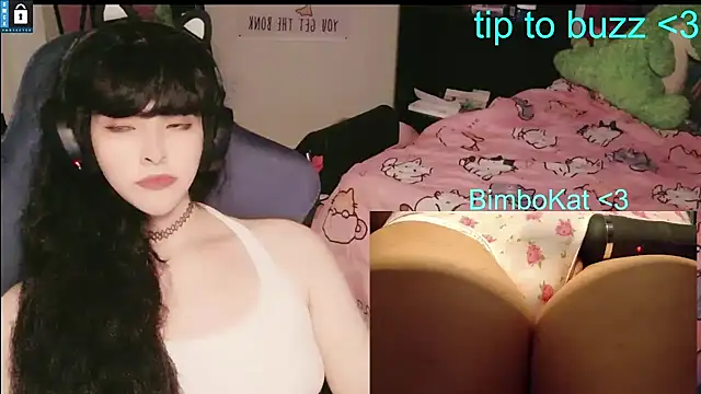 Pertunjukan Kamera Web BimboCat