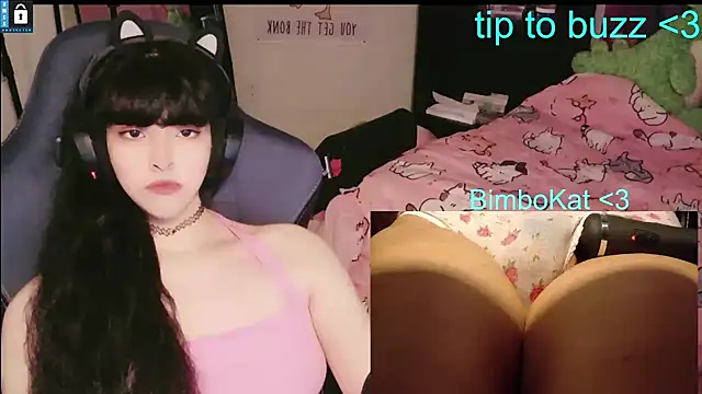 הופעת וובקאם של BimboCat
