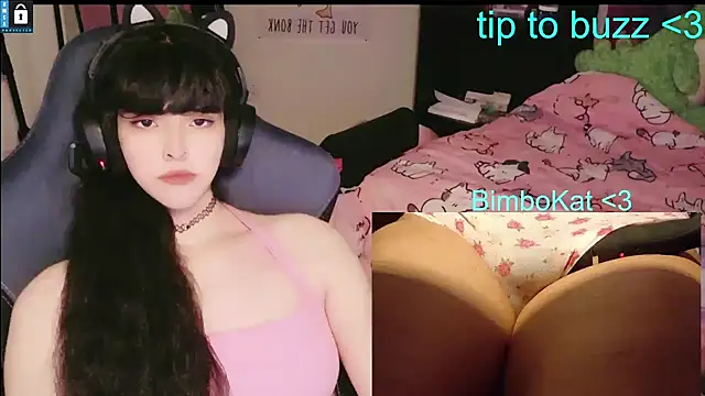 Show Webcam de BimboCat