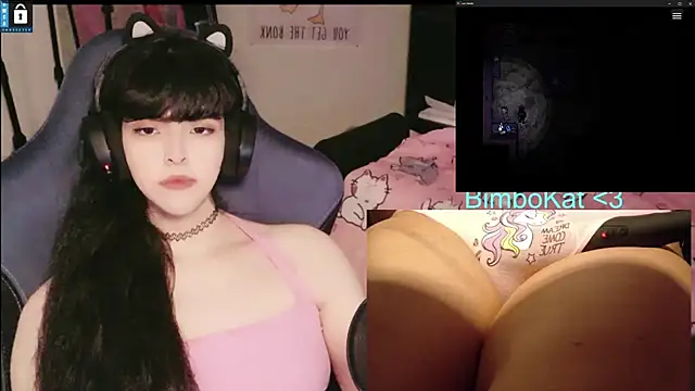 BimboCat: вебкам-шоу