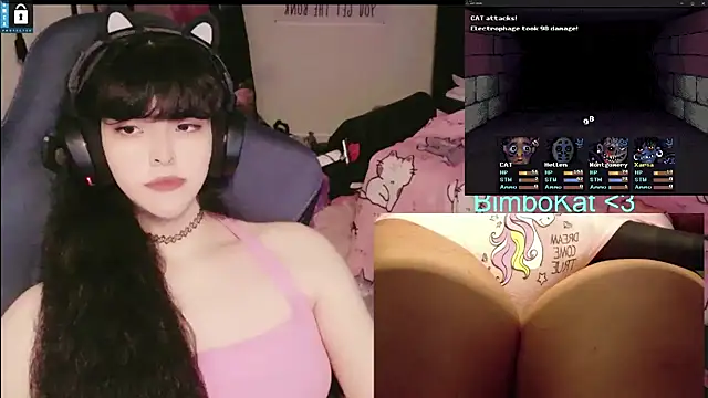 BimboCatのウェブカメラショー