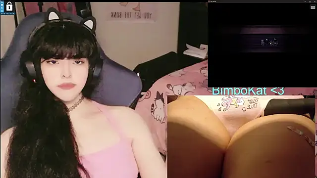 BimboCatのウェブカメラショー