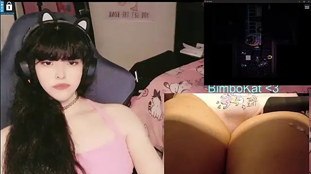 BimboCat Show Webcam