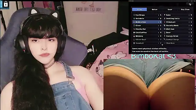 Show webcam de BimboCat