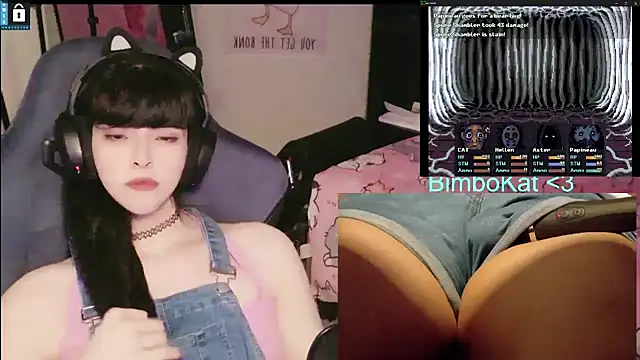 BimboCat Show in webcam