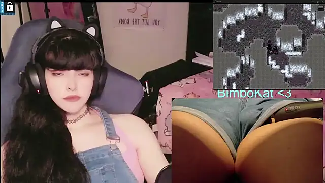 BimboCat Pertunjukan Webcam