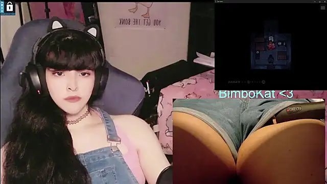 BimboCat 웹캠 쇼
