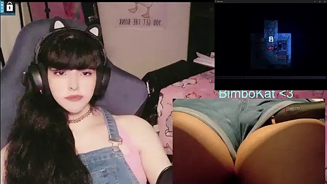 הופעת וובקאם של BimboCat