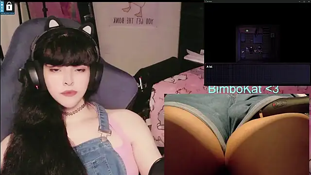 BimboCat 웹캠 쇼