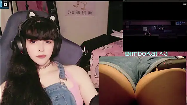 BimboCat: вебкам-шоу