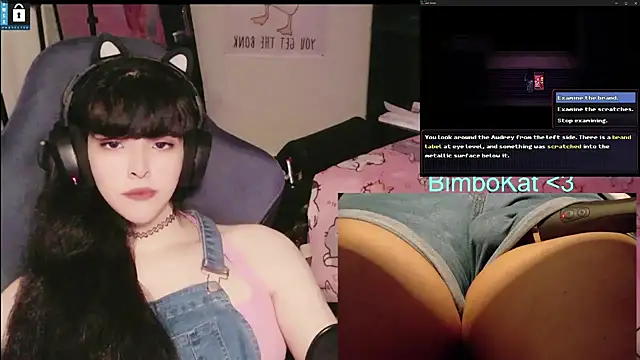 BimboCat 웹캠 쇼