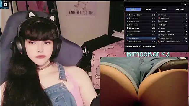 Show webcam de BimboCat