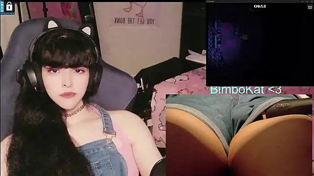 BimboCat: διαδικτυακό σόου στην κάμερα