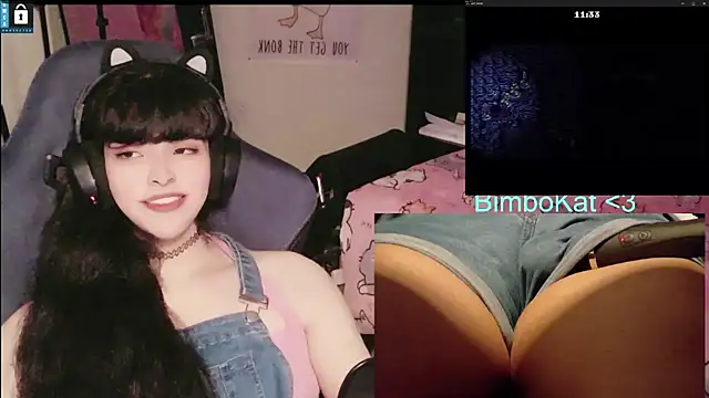 BimboCat webkamerás műsora