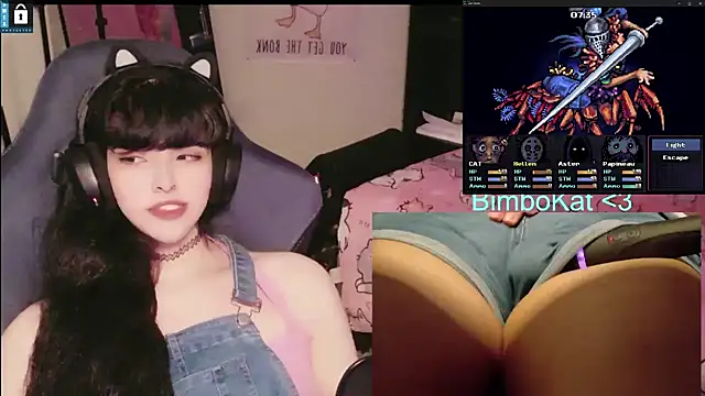 BimboCat Show Webcam