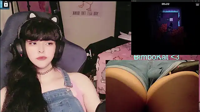 BimboCat Webcam Show