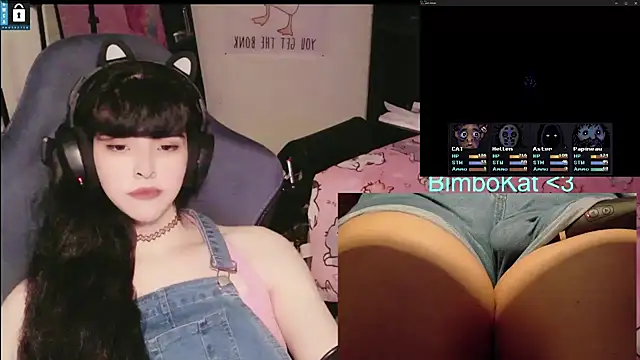 BimboCat webkamerás műsora
