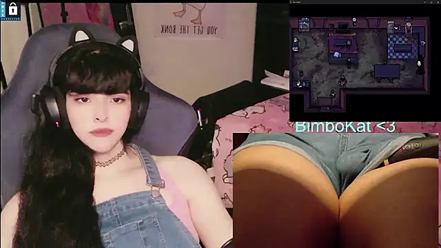 BimboCatn Webbikameraesitys