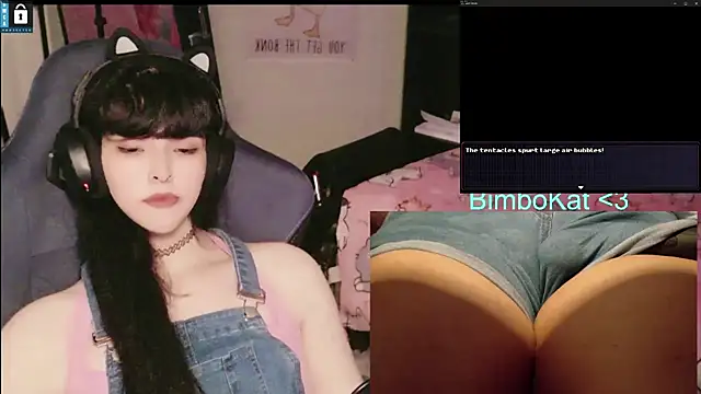 Show Webcam de BimboCat