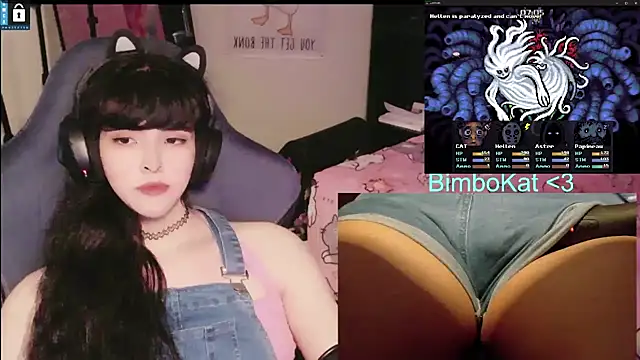 Show Webcam de BimboCat