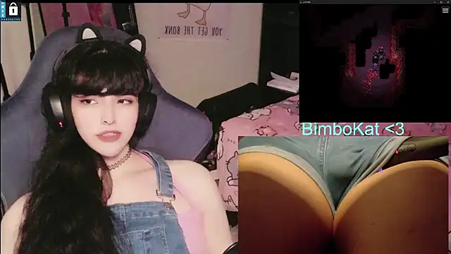 BimboCat Webcam Show