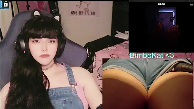 Show webcam de BimboCat