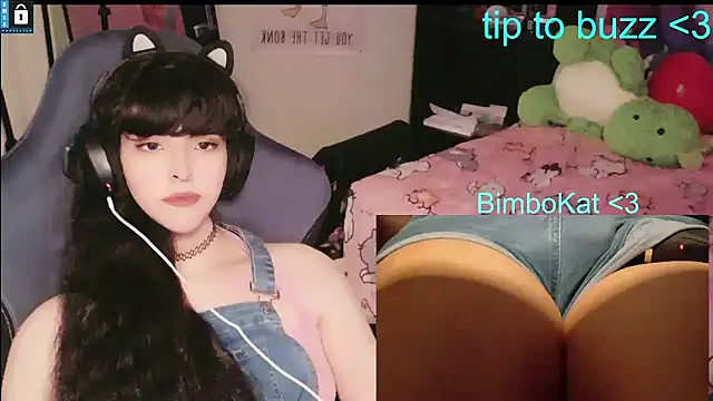 BimboCat: διαδικτυακό σόου στην κάμερα