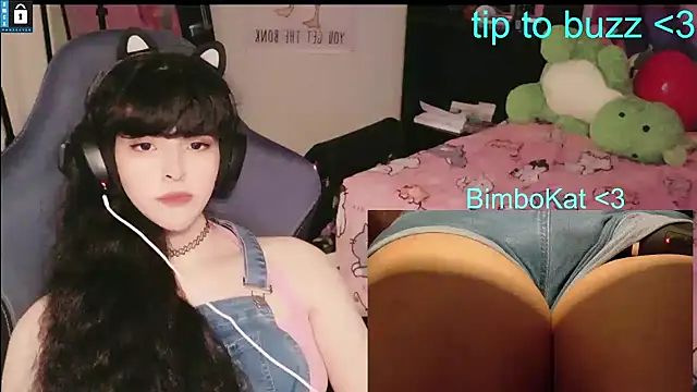 BimboCatのウェブカメラショー