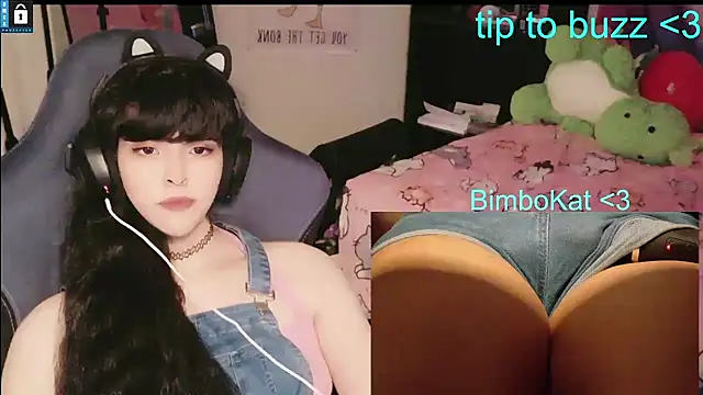 Show Webcam de BimboCat