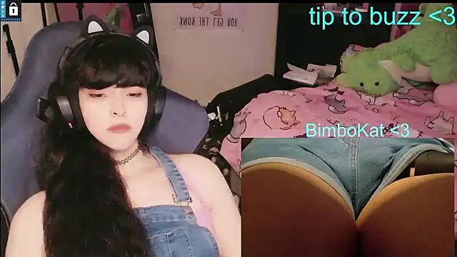 BimboCatのウェブカ  メラショー